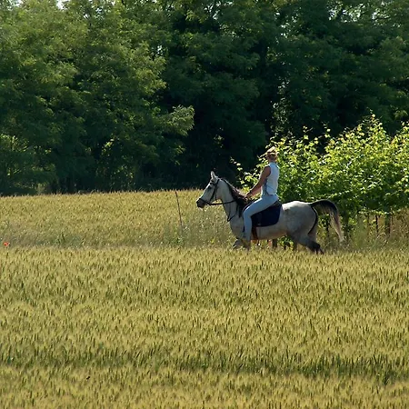 Agriturismo Le Fornase Farm stay *
